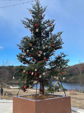 ムーミンバレーパークに投稿された画像（2022/12/24）