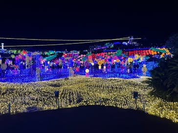 伊豆ぐらんぱる公園に投稿された画像（2022/12/24）