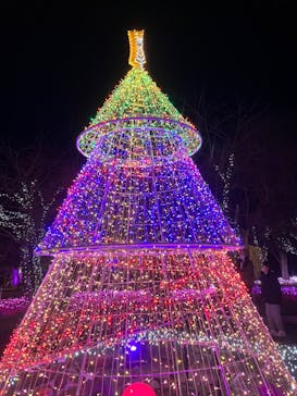 みろくの里に投稿された画像（2022/12/24）