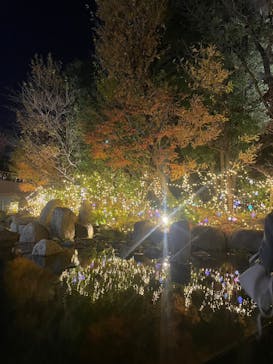 梅田スカイビル・空中庭園展望台に投稿された画像（2022/12/25）