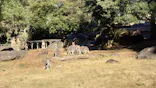 よこはま動物園ズーラシアに投稿された画像（2022/12/25）