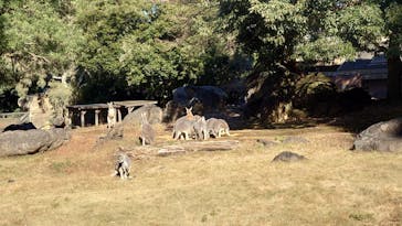 よこはま動物園ズーラシアに投稿された画像（2022/12/25）