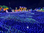伊豆ぐらんぱる公園に投稿された画像（2022/12/25）