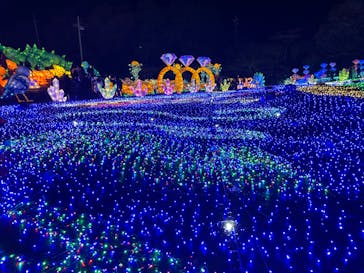 伊豆ぐらんぱる公園に投稿された画像（2022/12/25）