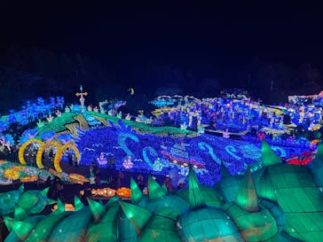 伊豆ぐらんぱる公園に投稿された画像（2022/12/25）