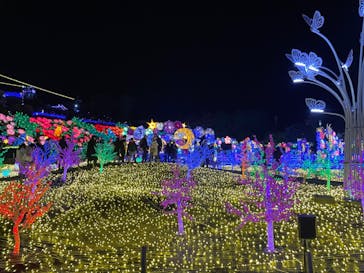 伊豆ぐらんぱる公園に投稿された画像（2022/12/25）