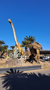 伊豆ぐらんぱる公園に投稿された画像（2022/12/25）