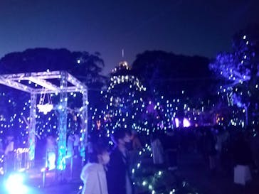 江の島シーキャンドルに投稿された画像（2022/12/25）