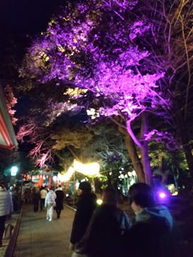 江の島シーキャンドルに投稿された画像（2022/12/25）