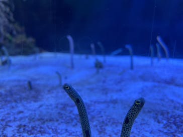 名古屋港水族館に投稿された画像（2022/12/25）