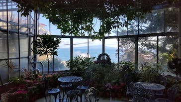 熱川バナナワニ園に投稿された画像（2022/12/25）