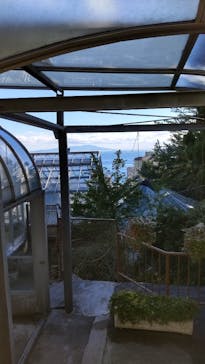 熱川バナナワニ園に投稿された画像（2022/12/25）