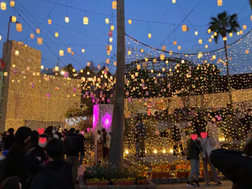 ひらかたパークに投稿された画像（2022/12/25）