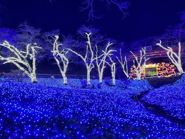 さがみ湖MORI MORIに投稿された画像（2022/12/25）