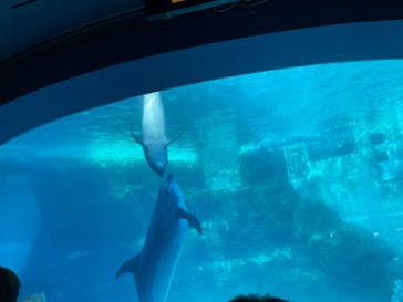 名古屋港水族館に投稿された画像（2022/12/25）