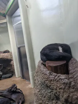 仙台うみの杜水族館に投稿された画像（2022/12/25）