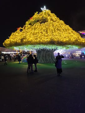 東京メガイルミに投稿された画像（2022/12/25）