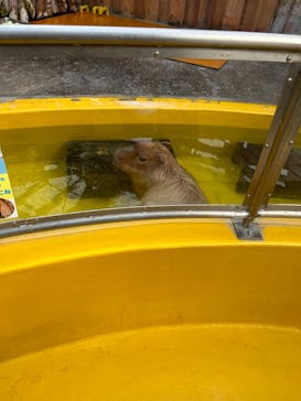 株式会社Gに投稿された画像（2022/12/25）