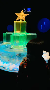 仙台うみの杜水族館に投稿された画像（2022/12/25）