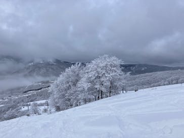 たざわ湖スキー場に投稿された画像（2022/12/25）