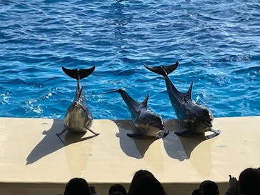 マリンワールド海の中道に投稿された画像（2022/12/25）