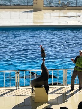 マリンワールド海の中道に投稿された画像（2022/12/25）