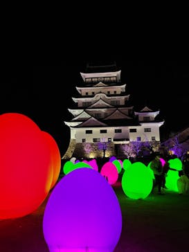 福山城400年博-FUKUYAMA CASTLE EXPO 2022- RCC開局70年 「チームラボ 福山城 光の祭」に投稿された画像（2022/12/25）