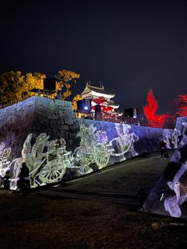 福山城400年博-FUKUYAMA CASTLE EXPO 2022- RCC開局70年 「チームラボ 福山城 光の祭」に投稿された画像（2022/12/25）