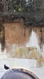 天王寺動物園に投稿された画像（2022/12/25）