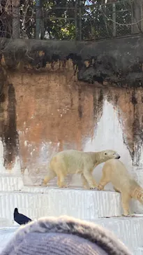 天王寺動物園に投稿された画像（2022/12/25）