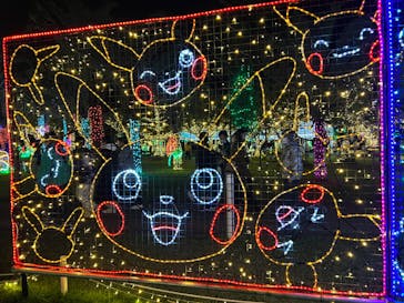 美らヤシパークオキナワ・東南植物楽園に投稿された画像（2022/12/25）