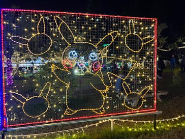 美らヤシパークオキナワ・東南植物楽園に投稿された画像（2022/12/25）