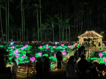 美らヤシパークオキナワ・東南植物楽園に投稿された画像（2022/12/25）