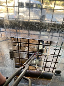 群馬サファリパークに投稿された画像（2022/12/25）