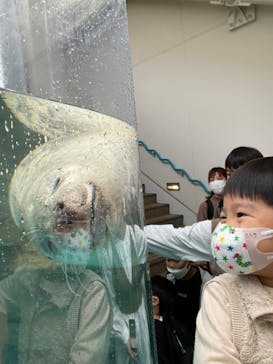 京都水族館に投稿された画像（2022/12/25）