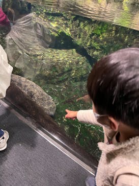 京都水族館に投稿された画像（2022/12/25）