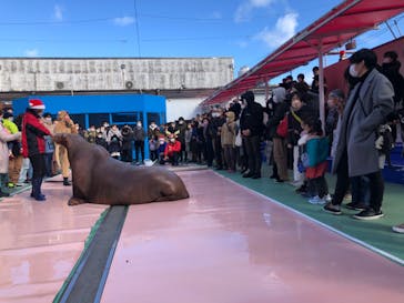 ゼロ距離水族館 伊勢シーパラダイスに投稿された画像（2022/12/25）