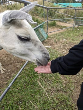 ネオパークオキナワに投稿された画像（2022/12/25）