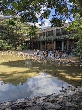 ネオパークオキナワに投稿された画像（2022/12/25）