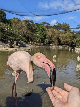 ネオパークオキナワに投稿された画像（2022/12/25）