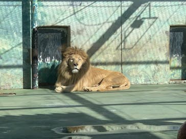 姫路セントラルパークに投稿された画像（2022/12/25）