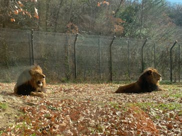 姫路セントラルパークに投稿された画像（2022/12/25）