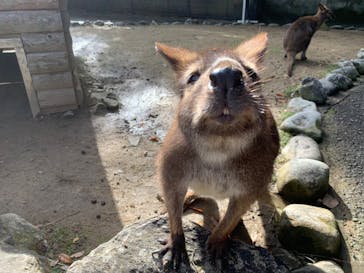 姫路セントラルパークに投稿された画像（2022/12/25）