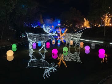 安城産業文化公園デンパークに投稿された画像（2022/12/25）