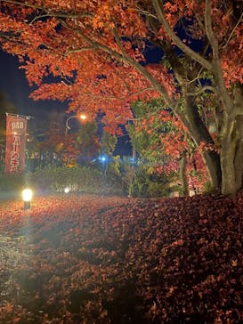 上方温泉 一休 京都本館に投稿された画像（2022/12/25）