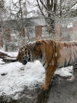 那須どうぶつ王国に投稿された画像（2022/12/25）