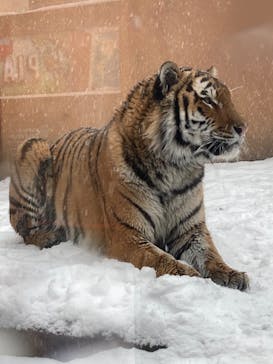 那須どうぶつ王国に投稿された画像（2022/12/25）