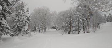 秋田八幡平スキー場に投稿された画像（2022/12/25）