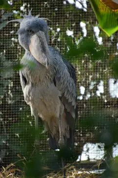 神戸どうぶつ王国に投稿された画像（2022/12/25）