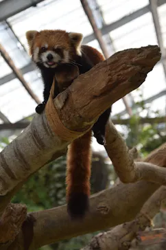 神戸どうぶつ王国に投稿された画像（2022/12/25）